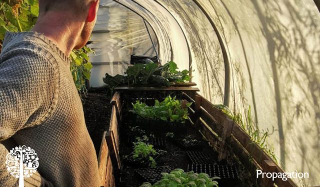 market gardener in the British Isles