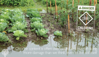 the damage chlorine causes to your gardens 