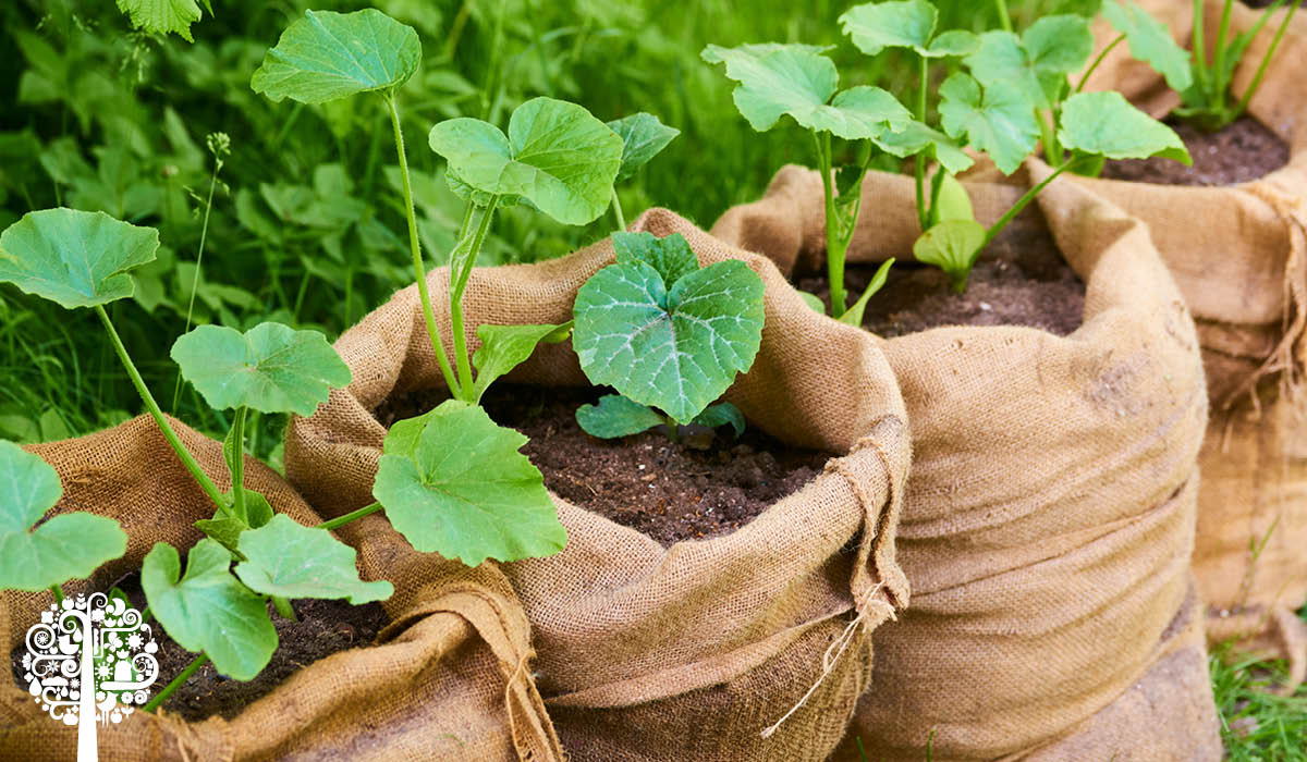 Grow Bags Are The Fabric Of Our Lives Garden Culture Magazine