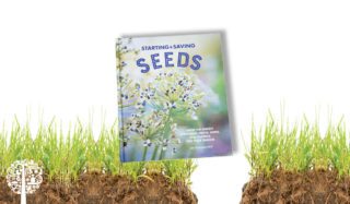 Starting And Saving Seeds