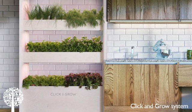 Indoor Farms