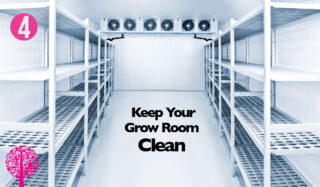 Keep your grow room clean