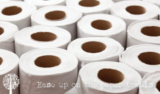 Una colección de rollos blancos de toallas de papel.
