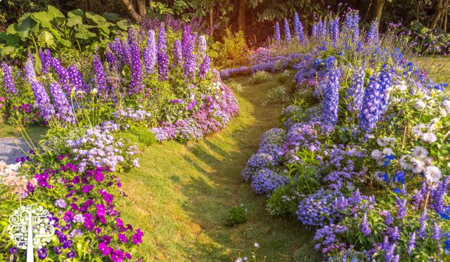 Rain Garden