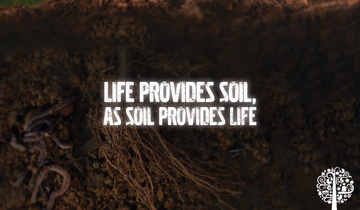 soil & life