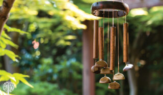 wind chimes create musical undertones