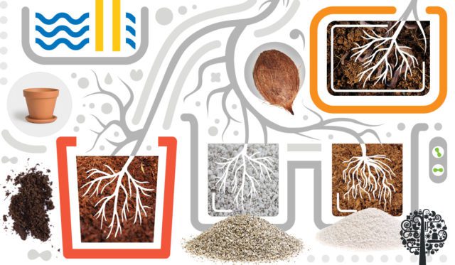 Understanding Substrate Chemistry in Hydroponics Leads To Better Grows ...