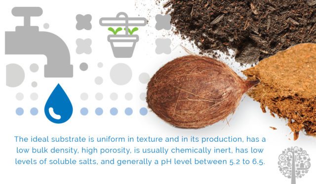 Understanding Substrate Chemistry in Hydroponics Leads To Better Grows ...