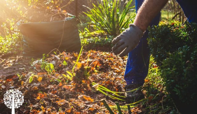 September Garden Tips