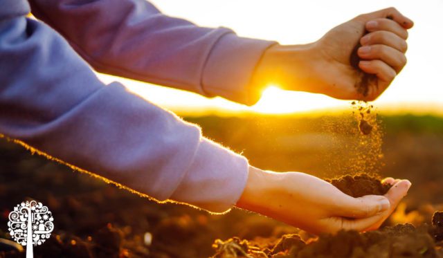 September Garden Tips