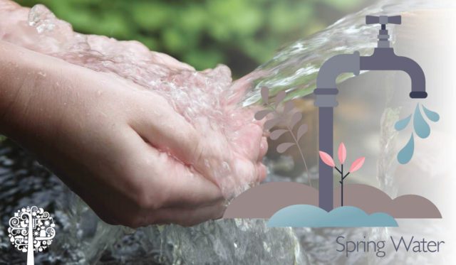 Spring Water Quality
