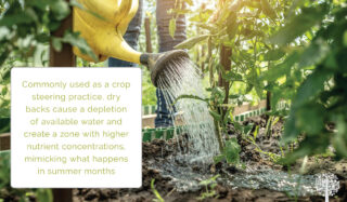 In farming and gardening, no task is more complex than watering, and unequivocally, it is the task that is done most poorly and leads to subsequent plant health issues.