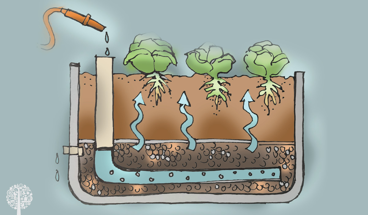 A Simple Guide To Building a Wicking Bed | Garden Culture Magazine