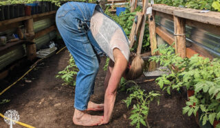 stretching in the garden