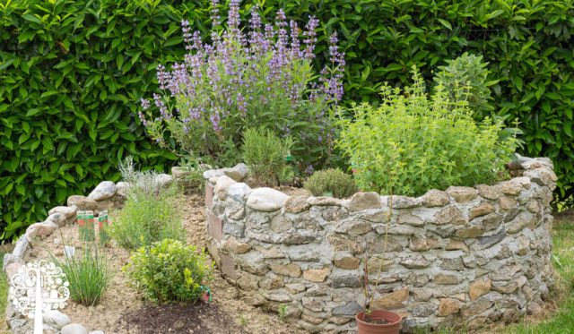 Herb in Spiral Garden