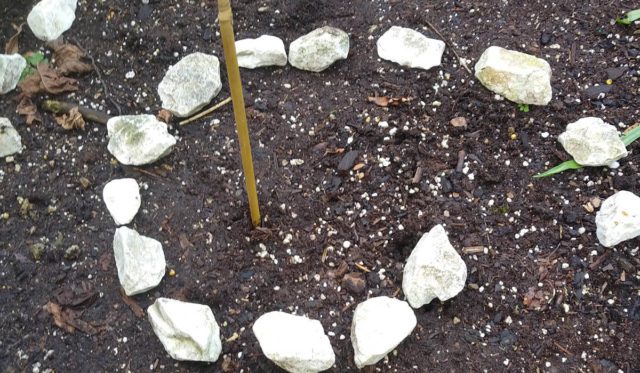 Center Guide Spiral Garden