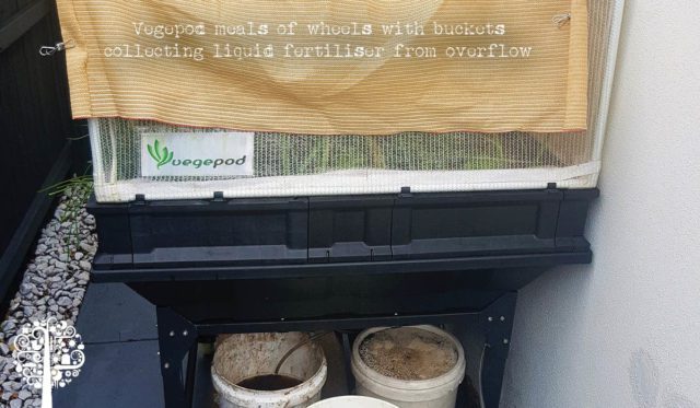 Vegepod Meal on Wheels