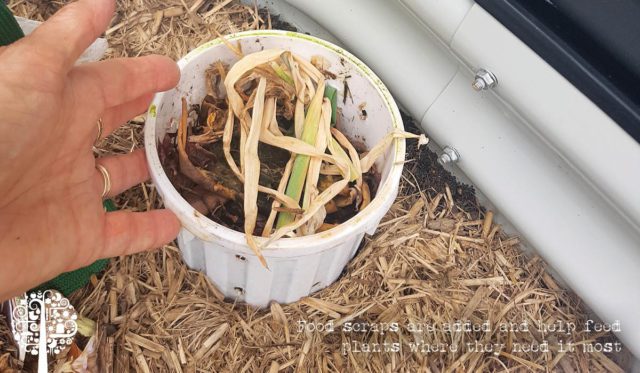 Insitu mini compost bin