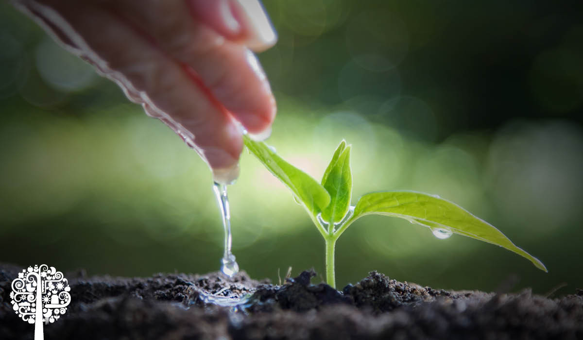 the-differences-between-hard-and-soft-water-nature-s-gateway