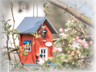 Personal museum making – 2026 growing season.