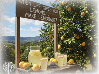 2026 Growing Season: Making lemonade. 