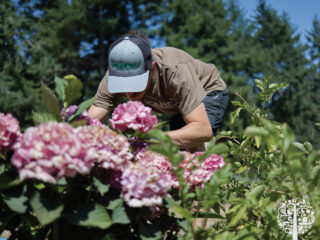Adam Clarke gardening.