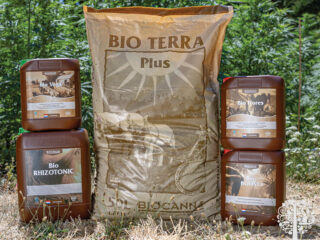 Adam Clarke and BIOCANNA.