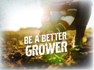Colin Bell teaches to become a better grower.