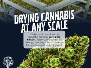 Dry cannabis at any scale. 