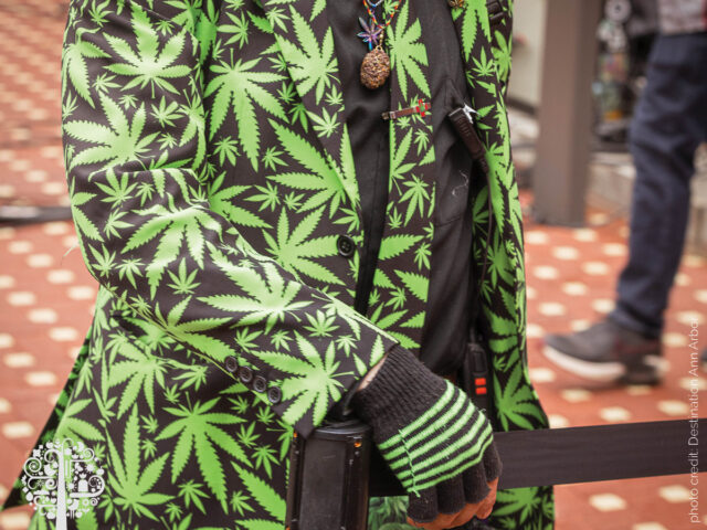 Hash Bash and the fight for the legalization of cannabis 