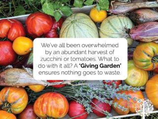 Giving gardens are a great opportunity to lend a helping hand in the community. 
