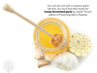 Honey-fermented garlic, preserving with a purpose.
