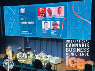 This panel discussed cannabis genetics at the Berlin Estrel Hotel.