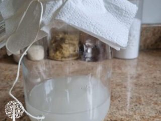 Put in a clear jar and cover with a paper towel.