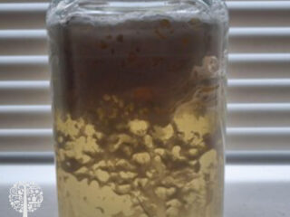 Strain off yellow liquid.