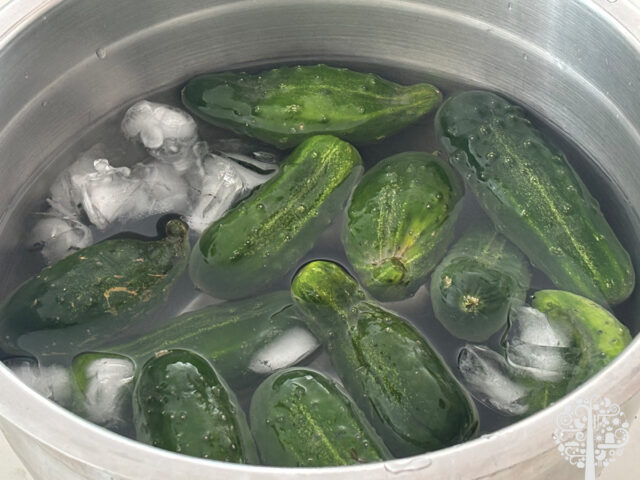 ice bath makes crunchy refrigerator pickles