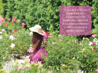 a nature prescription from your doctor?