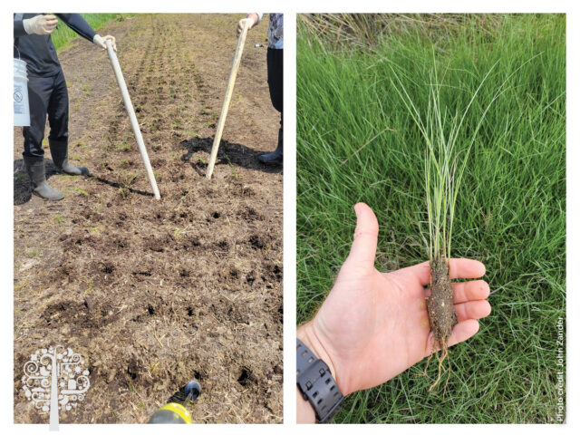 turning salt into hay