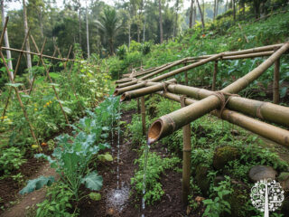 Rainwater and Gravity-fed Irrigation Systems