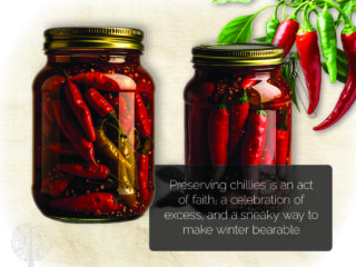Your guide to preserving chilies. 