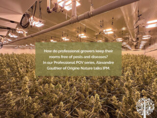 Indoor facility with integrated pest management at work