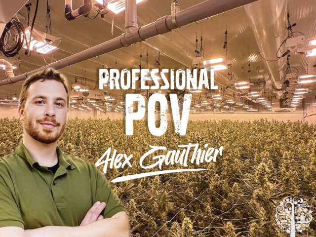IPM Professional POV, Alex Gauthier, Origine Nature