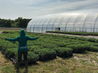 Genevieve Newton, Mera Cannabis. 