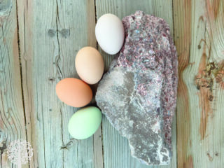 Regenerative gardening with chickens.