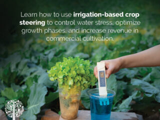 Root-Zone Irrigation & EC Tools.