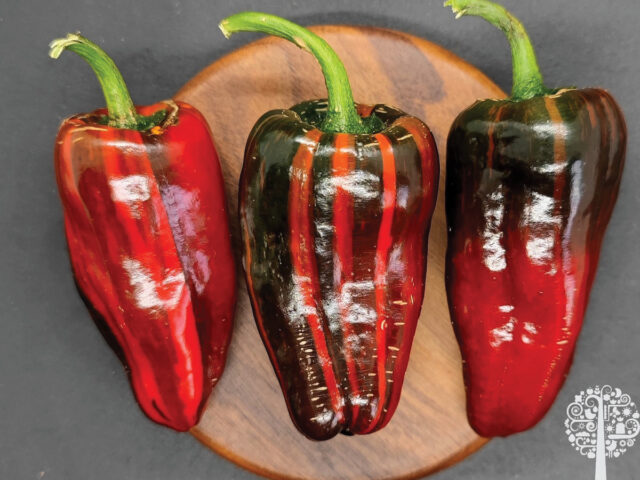 Peppers - rare varieties from Pepper Merchant