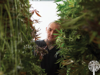 Tyson Wall in the weeds