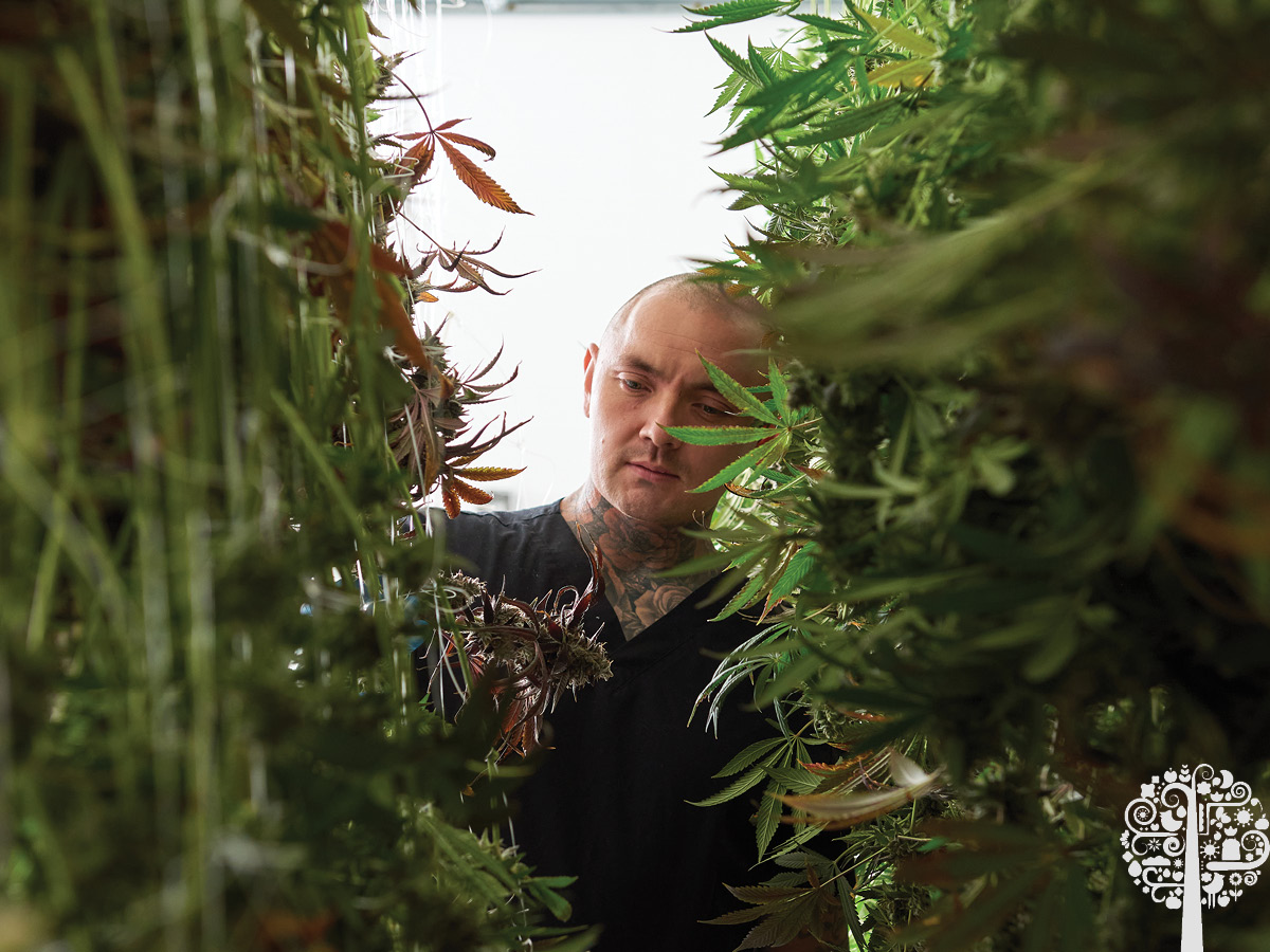 Tyson Wall in the weeds