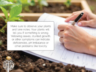 Testing and amending indoor soil.