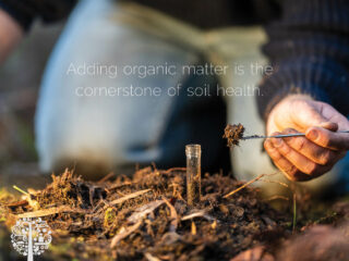 Testing indoor soil. 